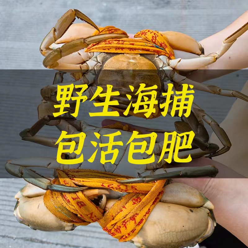 三门青蟹大公肉蟹 母膏蟹 螃蟹海鲜特产 鲜活水产 礼盒装公母组合