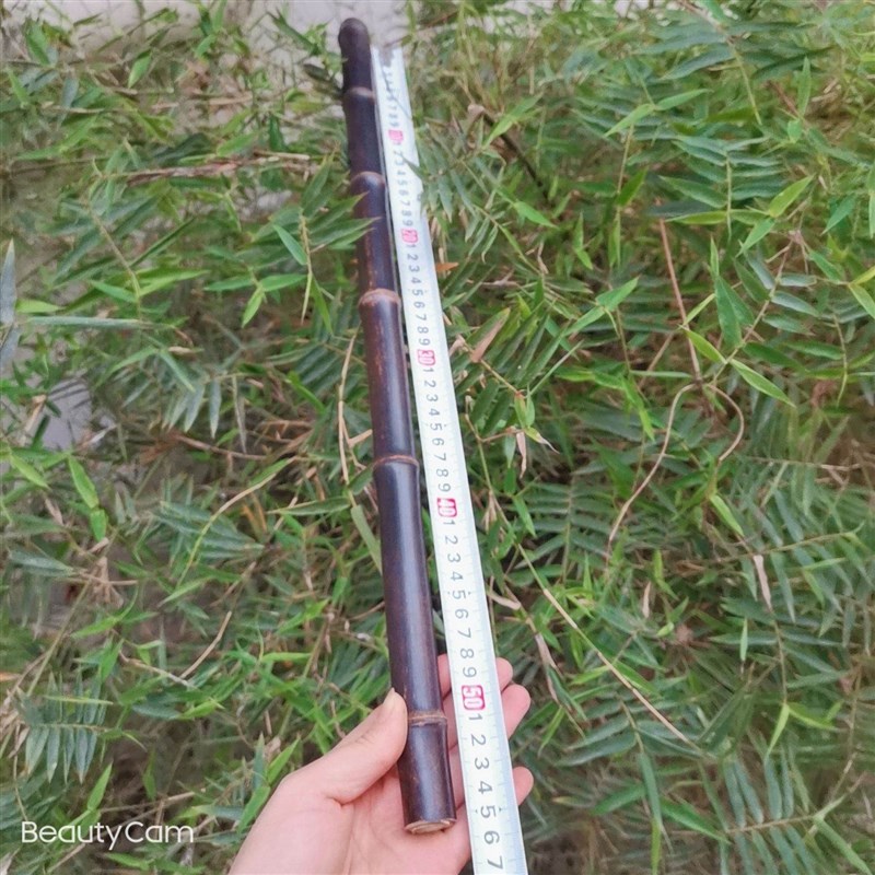 高端京胡担子西皮二黄大二黄5娃调尺寸1-4节长娃01u55粗-9-奢华