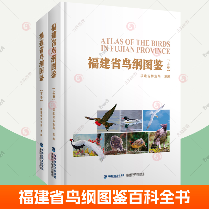 福建省鸟纲图鉴 上下全2册 收录福