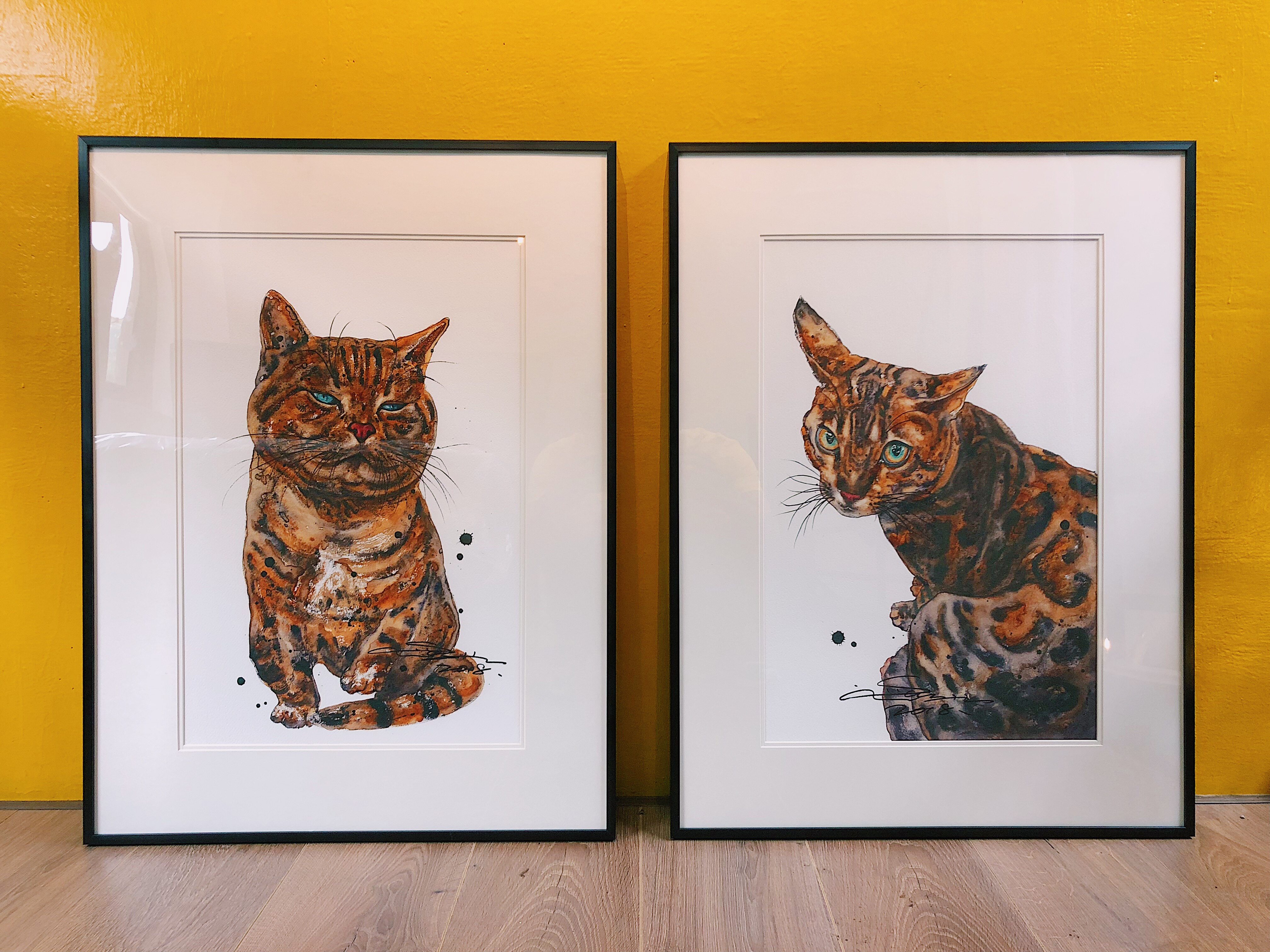 原创限量版高精度孙继成桔色的猫版画装饰作品