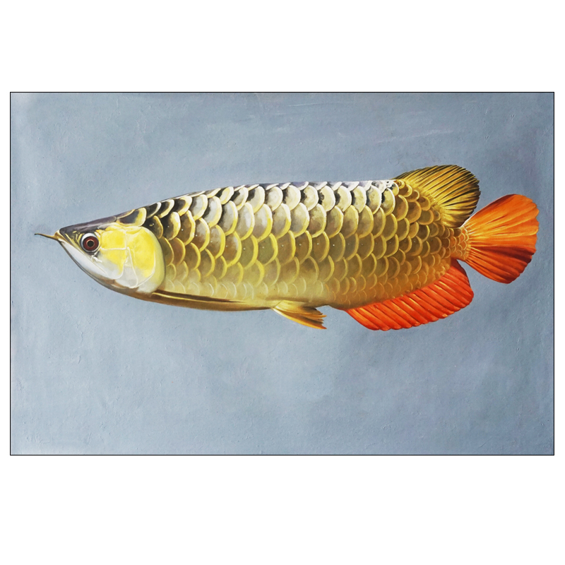 陈志纯《金龙鱼》原稿精品