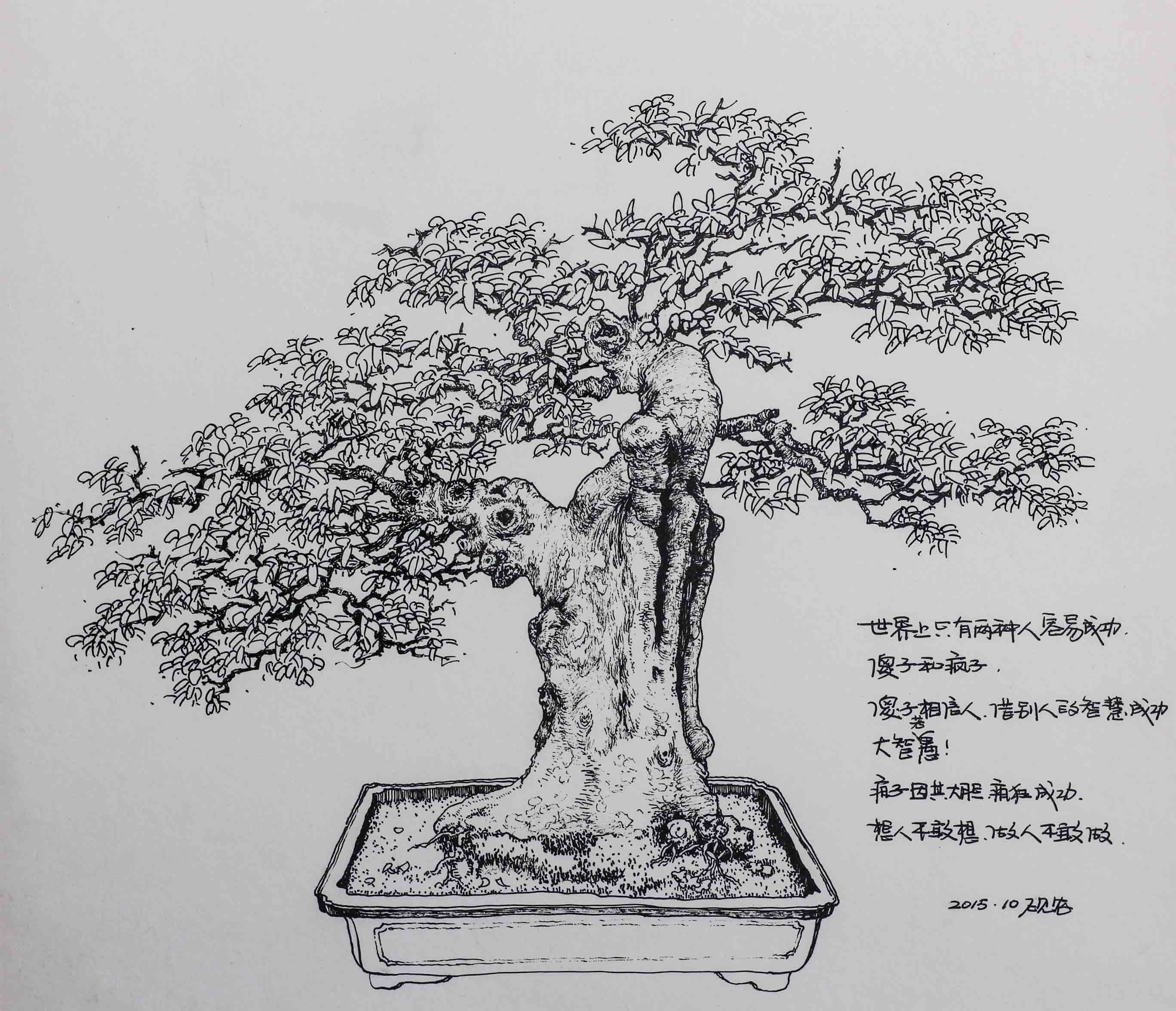 古树怎么画线描图片