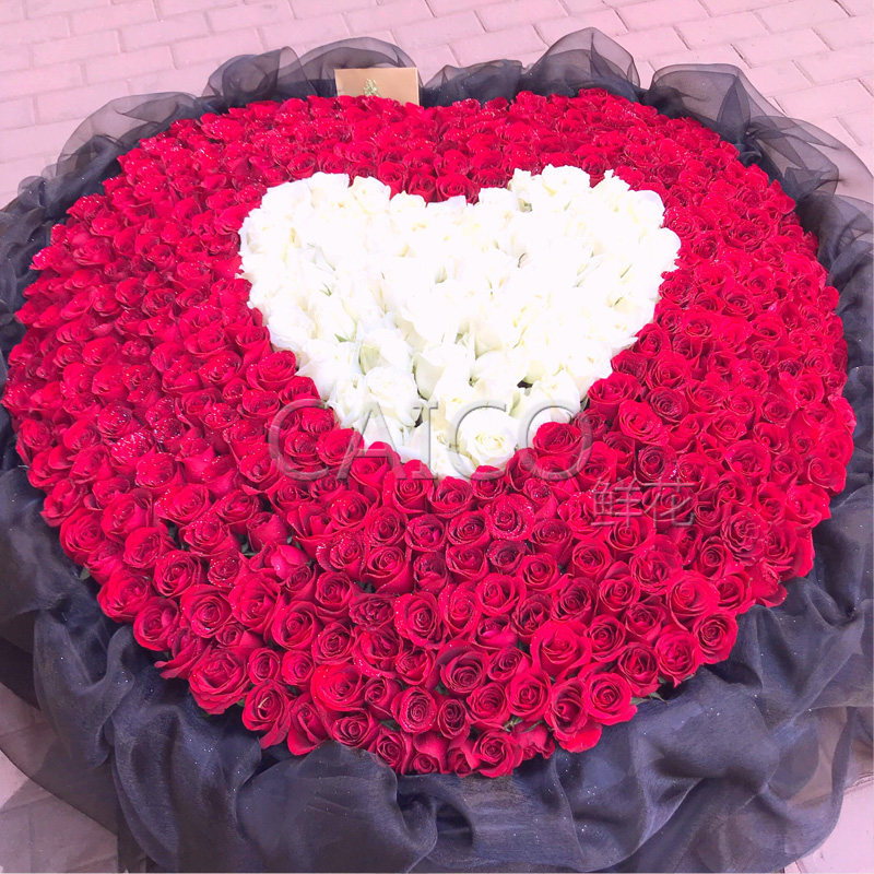哈尔滨同城鲜花速递520朵999朵红玫瑰蓝色妖姬大花束七夕求婚表白
