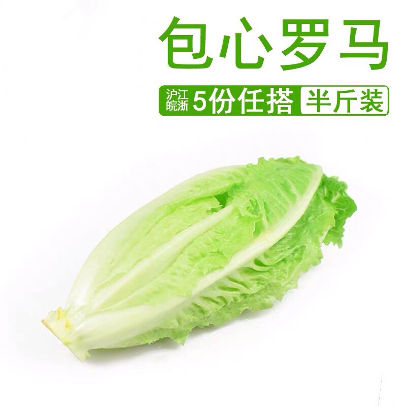 包心罗马生菜250g 绿色新鲜西餐蔬菜沙拉食材 江浙沪皖5件包邮在类目 水产肉类/新鲜蔬果/熟食, 新鲜蔬菜/蔬菜制品, 新鲜蔬菜, 其它中 - 来自Buy2taobao.com提供专业的淘宝代购服务