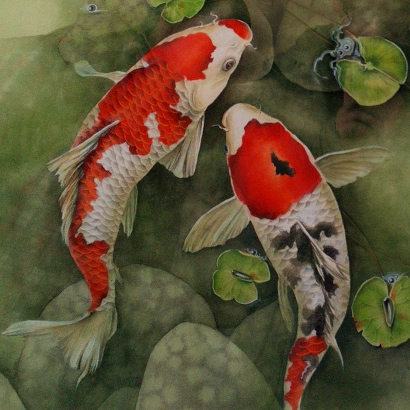 瞿咏梅 《锦鲤》工笔 大连市美术家协会会员