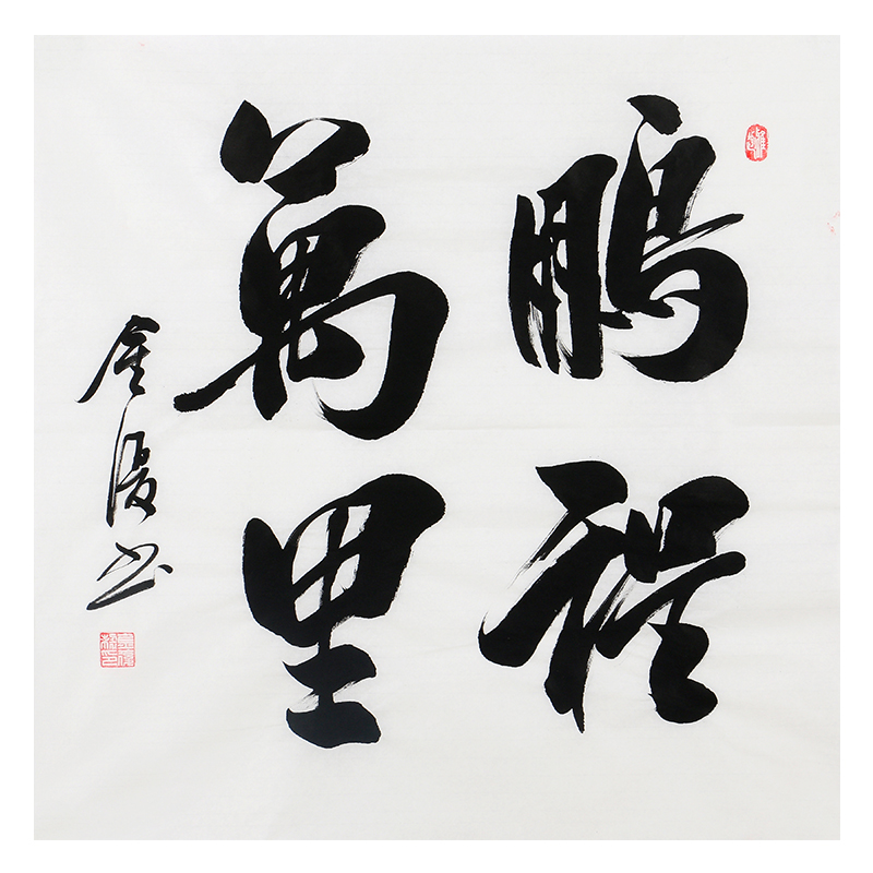 金复《鹏程万里》