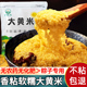 23年新米粘糯大黄米新米糯小米黄米包粽子专用米软米黍米黄糯黏米