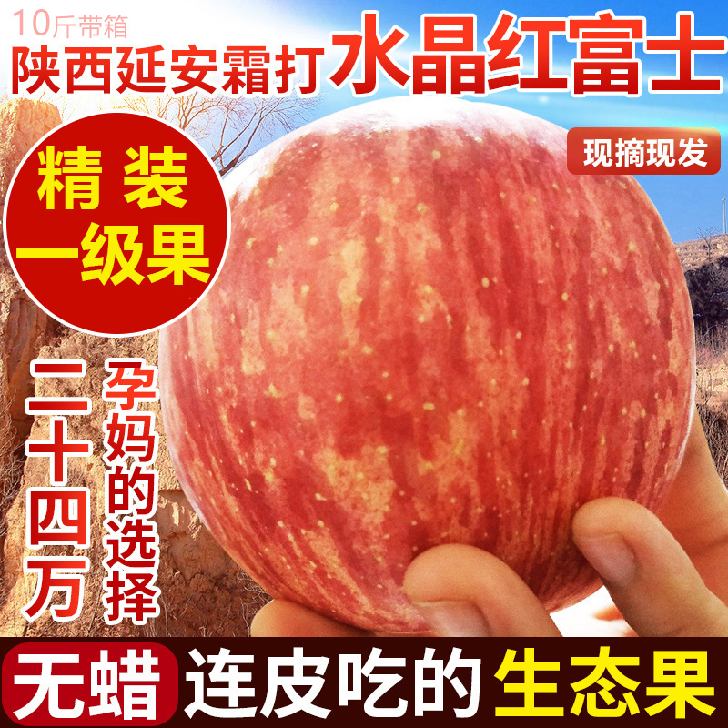 新鮮蘋果水果陝西延安水晶當季紅富士脆甜10批發斤包郵整箱大帶箱在類目 水產肉類/新鮮蔬果/熟食, 新鮮水果, 蘋果中 - 來自Buy2taobao.com提供專業的淘寶代購服務