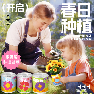 幼儿园儿童种植小盆栽学生实验观察套装草莓凤仙花花卉植物种子