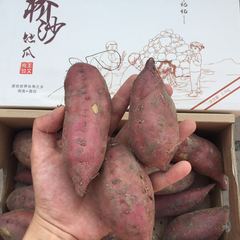 12/30发货海南有机地瓜5斤/箱 澄迈板栗味 特选等级富硒f