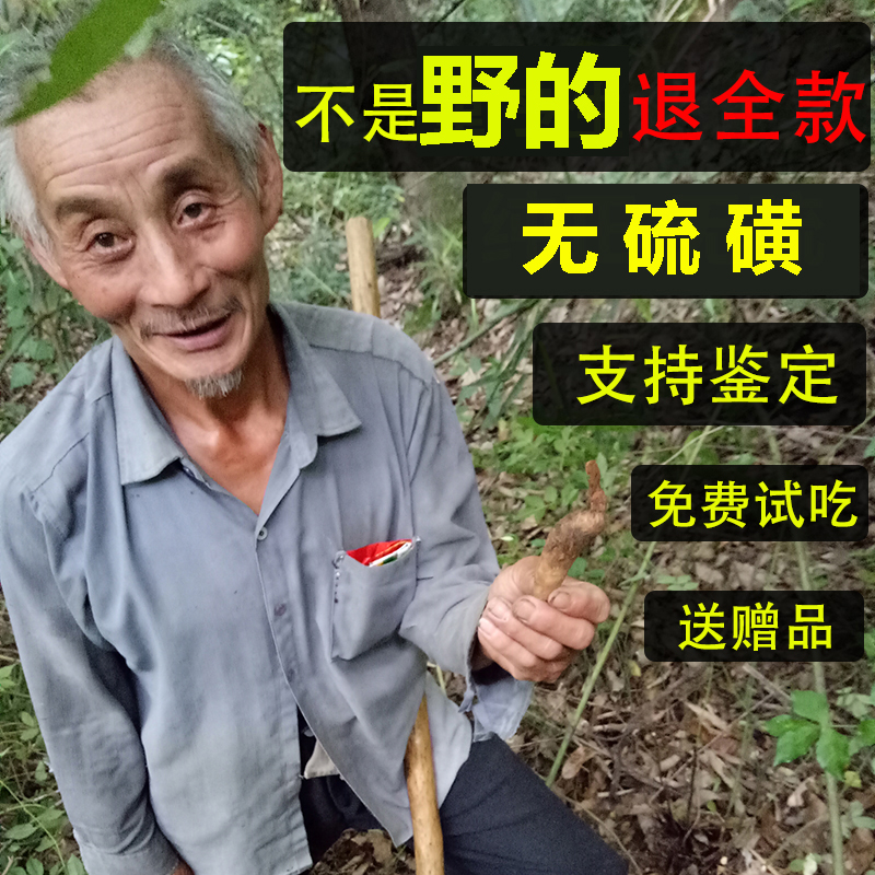 非云南新鲜天麻神农架深山无硫天麻特