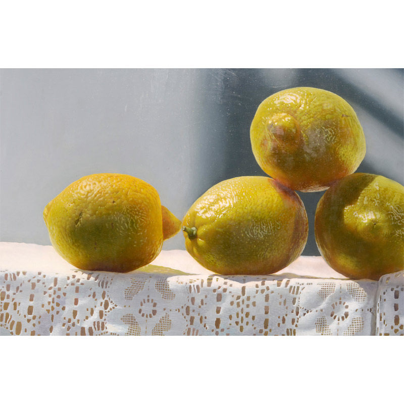 赵国生 《柠檬与海螺》 布面超写实油画