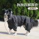 狗狗衣服春夏边牧雨衣四脚全包中大型犬衣服宠物衣服金毛狗狗雨衣