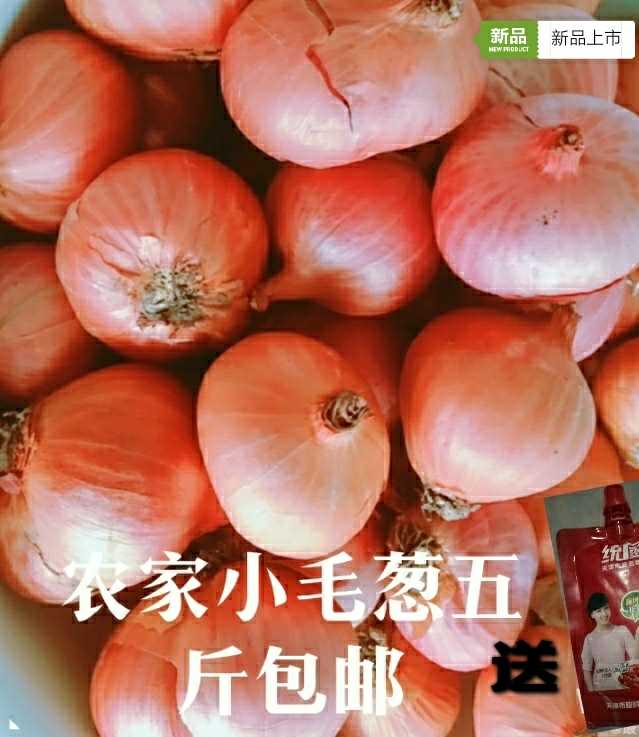 2020 new goods Farm Hairs Northeast Onion Onion fresh Season Vegetable 5in the Aquatic meat/Fresh fruits and vegetables/Cooked , Fresh vegetables/Vegetable products , Fresh vegetables , Allium category - from Buy2taobao.com to provide professional Taobao agent buy service