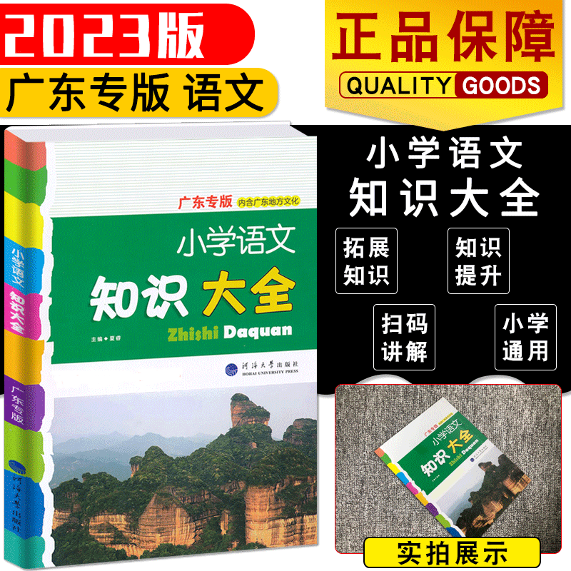 2024版小学语文知识大全通用广东专版人教版部编版新修订知识大全语文小学一至六年级小升初古诗词小学知识集锦基础知识大全全国版