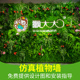 绿植墙仿真植物墙装饰客厅室内迎宾背景花墙塑料假草坪植物墙配花