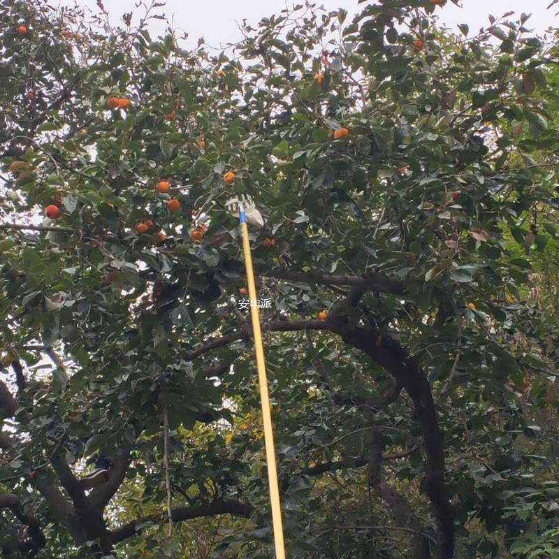 3米5米采摘器摘水果工具加长拼接组合铝杆摘枇杷杏核桃柿子可车载