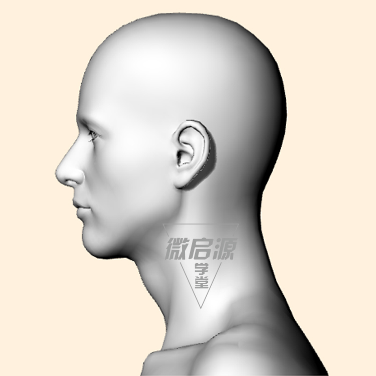 人头像肖像眼睛耳朵鼻子犀牛3d三维模型rhino/obj/3ds建模素材