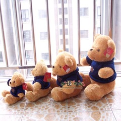 情人节泰迪熊乞丐熊毛绒玩具熊大号公仔布娃娃生日礼物女抱抱熊