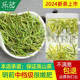 2024年新茶-乐茁珍稀安吉白茶-明前中档特级高山春茶绿茶叶125g