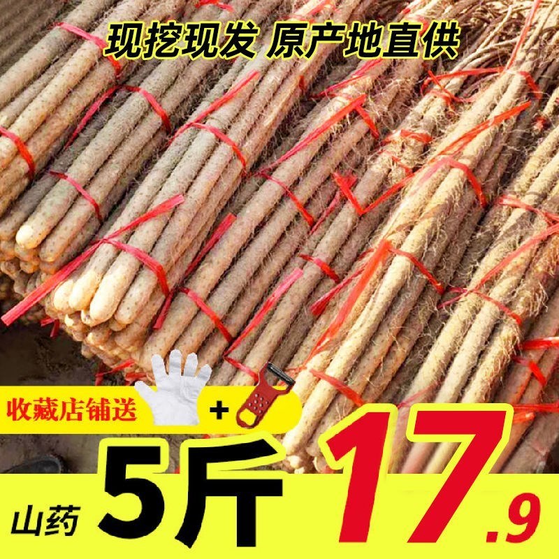 蜜和来铁棍山药淮山山药新鲜5斤垆土铁杆麻小白嘴非蔬菜河南焦。|msdalam kategori daging perikanan/Buah-buahan segar dan sayur-sayuran/dimasak, sayur-sayuran segar/Vegetable Products, sayur-sayuran segar, keladi segar - dari Buy2taobao.com untuk memberikan perkhidmatan ejen Taobao profesional membeli