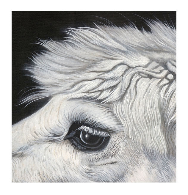 《小绵羊》叶泽仁 布面油画