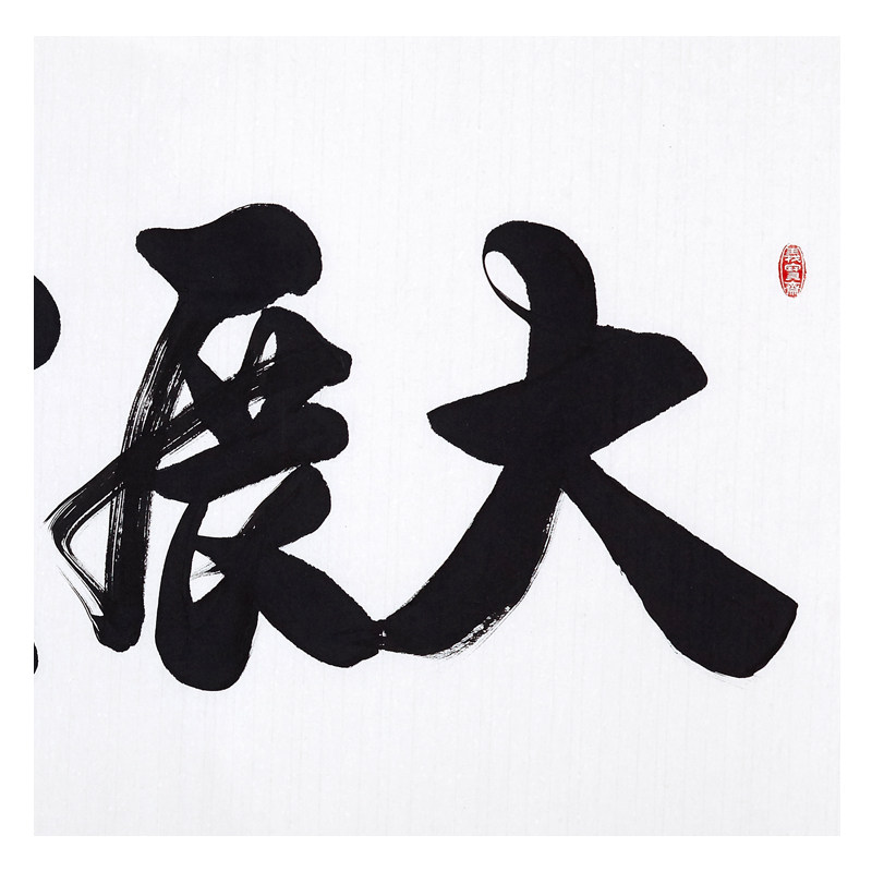 孔庆义 《大展宏图》孔子七十三世孙 中书协