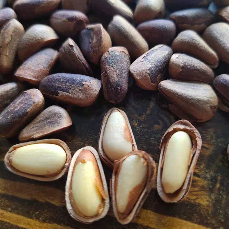 21黑龙江新货东北红松籽野生开口红松子大粒手剥原味非油炸坚果