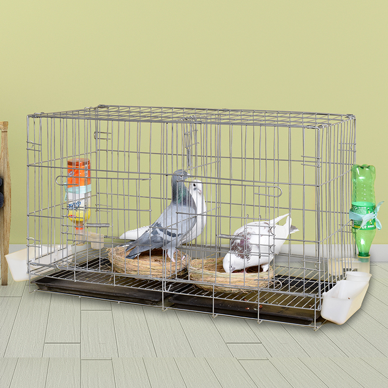 鸽子笼子家用养殖室外繁殖折叠配对大全网窝号笼新款专用鸽子笼