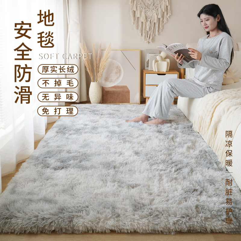 地毯卧室床边毯2024新款客厅长毛毯子可水洗床下地垫房间长绒加厚