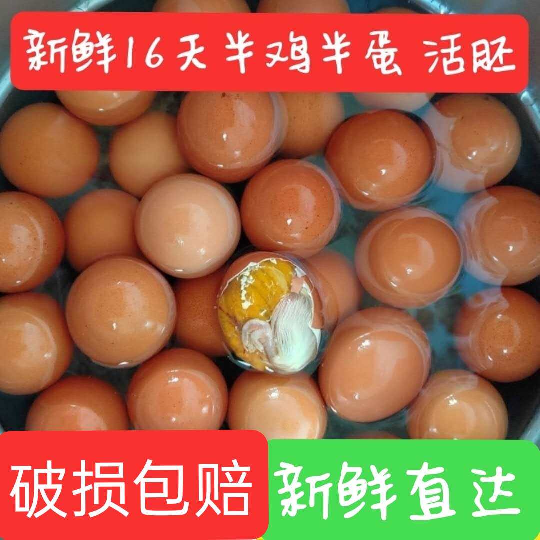 新鲜16天半鸡半蛋鸡30只胚蛋喜蛋凤凰蛋生毛蛋毛鸡蛋非活珠子