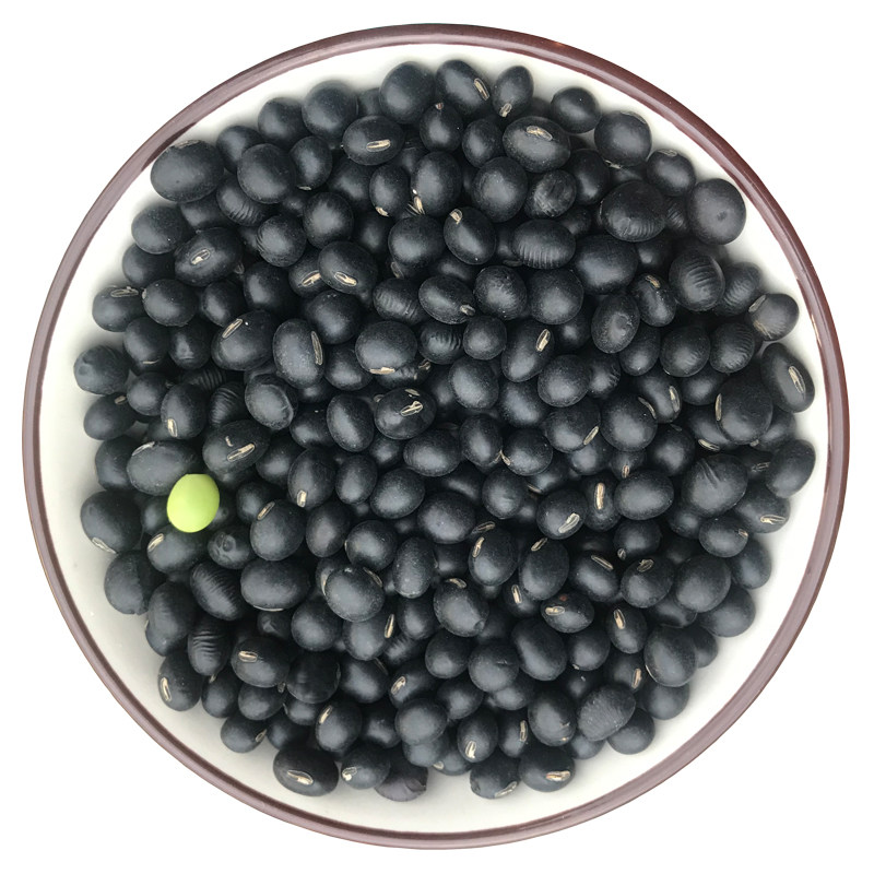 2021新鲜东北绿心青仁黑豆 农家自产有机五谷杂粮大豆浆原料 2斤