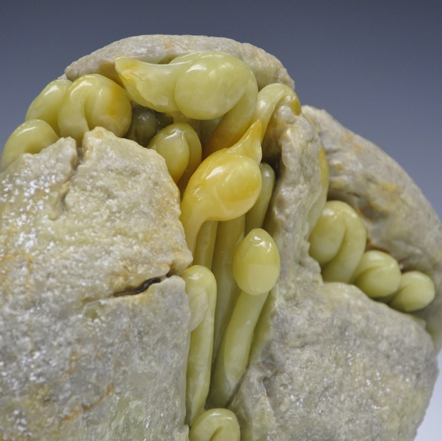 青田石雕摆件 金玉冻 豆芽《蒸蒸日上》 精品收藏