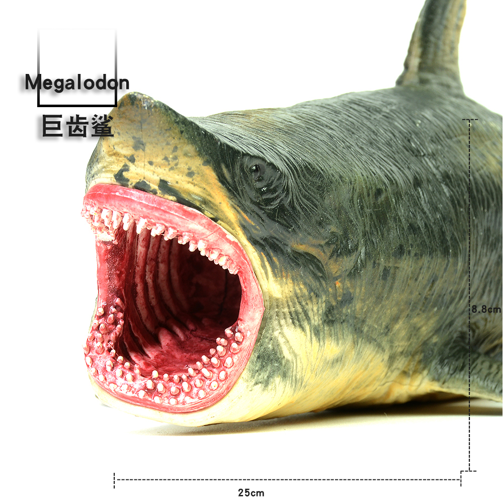 海洋生物仿真模型  锯齿鲨 巨齿鲨