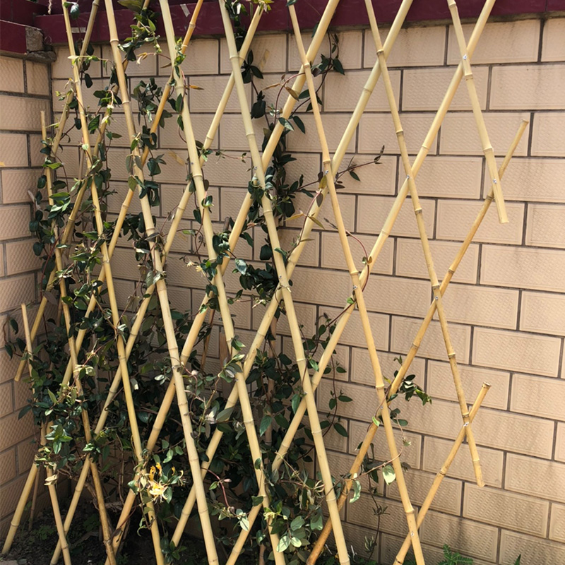 竹篱笆栅栏户外花园菜园围栏伸缩竹子护栏围墙竹竿月季爬藤搭架