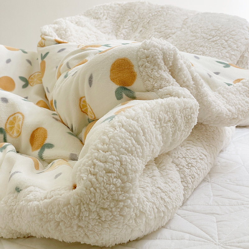 羊羔绒毛毯冬季加厚盖毯子床上用珊瑚