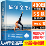 天天瑜伽 瑜伽全书初级入门图解步骤480张55组瑜伽视频教程瘦身减肥书籍 140个瑜伽体式艾扬格普拉提阴瑜伽健身书冥想瑜伽书籍