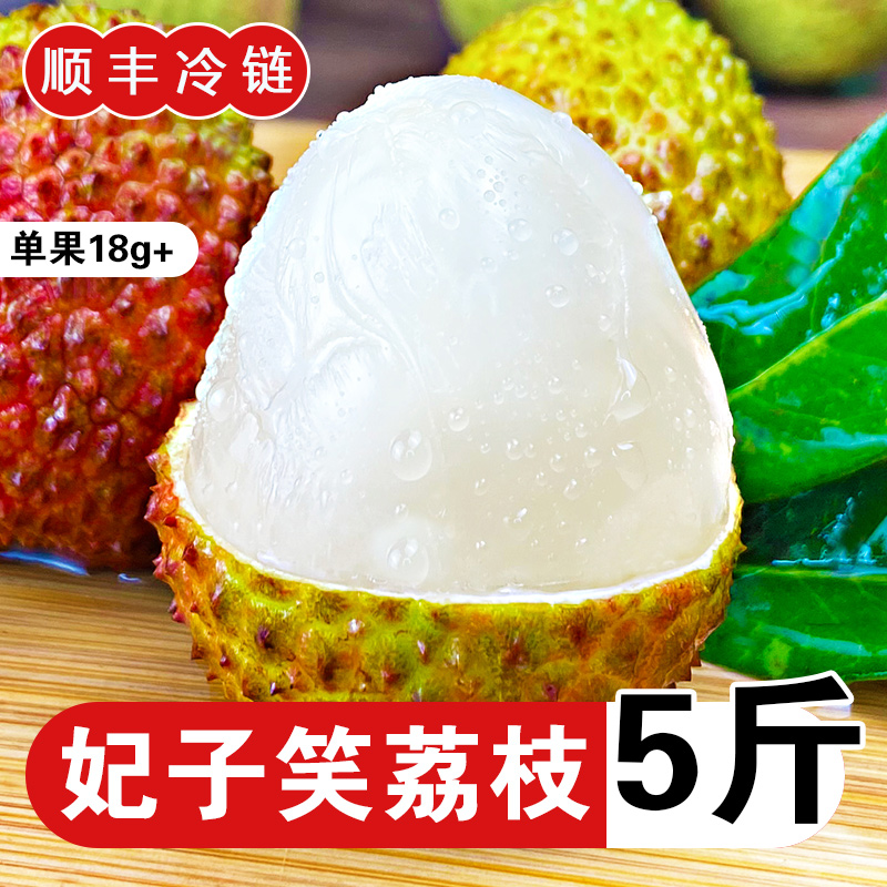 Hainan Feizixiao Litchi 5 fresh Season pregnant woman fruit Should sweet-scented osmanthus Litchiin the Aquatic meat/Fresh fruits and vegetables/Cooked , Fresh fruit , Litchi category - from Buy2taobao.com to provide professional Taobao agent buy service
