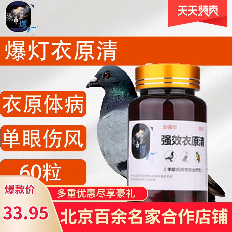 爆灯强效衣原清加强型胶囊60粒鸽药鸽鹦鹉鸟爆灯衣原净