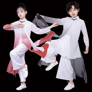 儿童古典演出服男女中国风太极舞蹈服水墨舞剑少年强扇子舞服飘逸