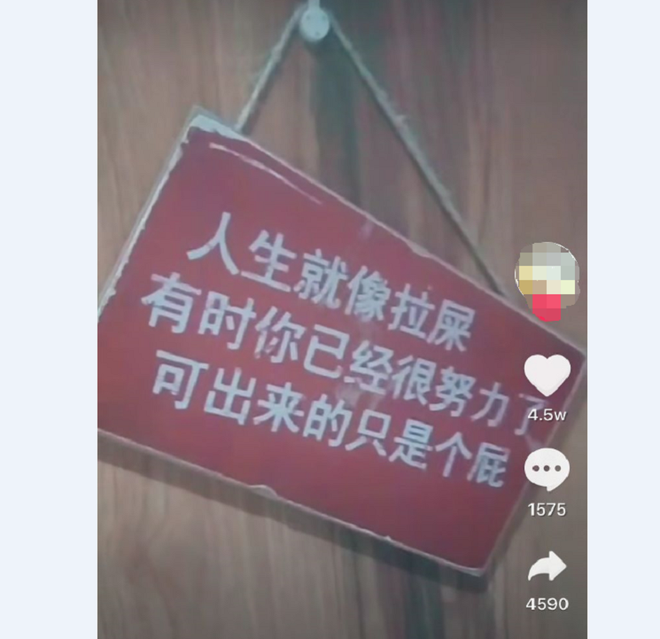 汽车贴纸 人生就像拉屎 有时你已经很努力了可出来的只是个屁车贴