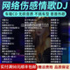 2024正版伤感情歌车载cd碟片dj流行新歌曲音乐光盘无损高音质光碟