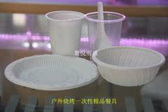 餐盘户外烧烤用品一次性餐具纸杯纸碟5件套塑料纸碗