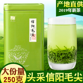 团黄毛尖茶叶春茶信阳毛尖2019新茶雨前嫩芽浓香型散装250g绿茶