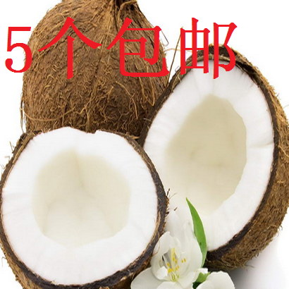 海南特産 新鮮椰子皇椰王肉毛老青去皮熱帶水果海雞凍批發5個包郵在類目 水產肉類/新鮮蔬果/熟食, 新鮮水果, 椰青中 - 來自Buy2taobao.com提供專業的淘寶代購服務