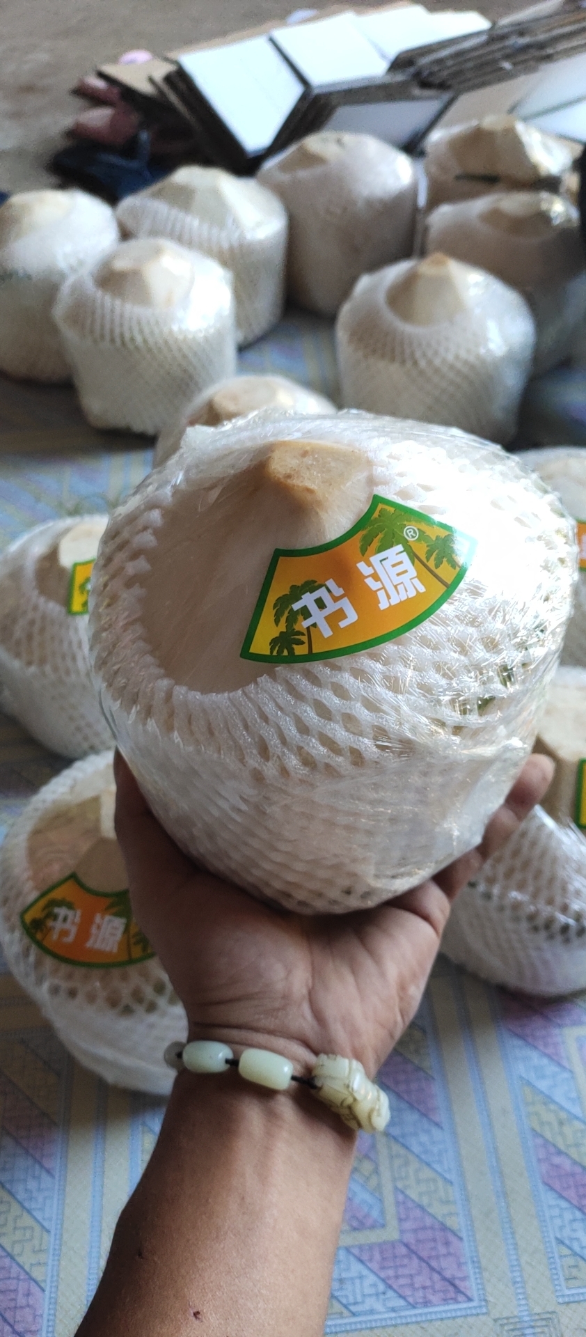 9個裝椰青 南方應季熱帶孕婦水果新鮮 海南特産青椰子當季皇包郵在類目 水產肉類/新鮮蔬果/熟食, 新鮮水果, 椰青中 - 來自Buy2taobao.com提供專業的淘寶代購服務