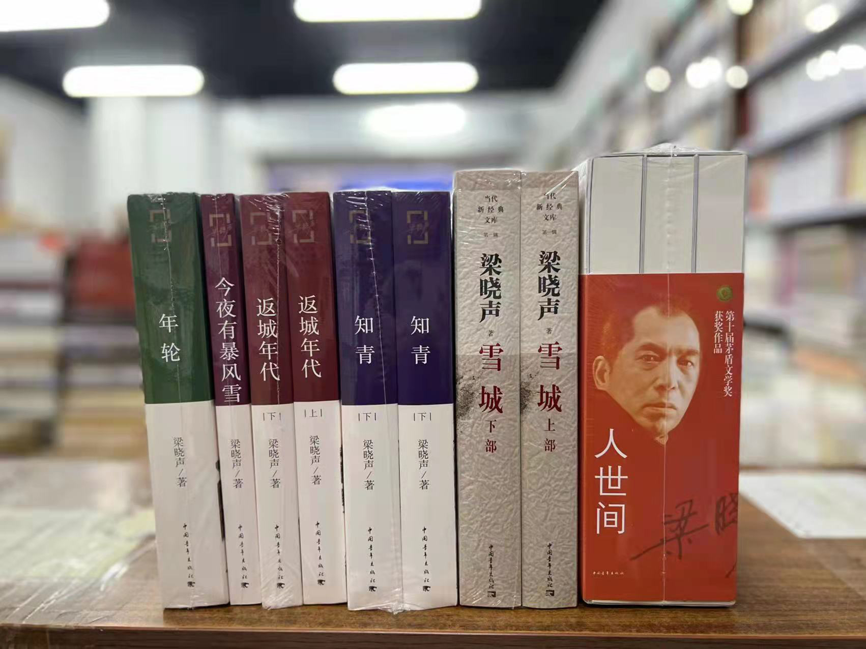 正版梁晓声作品套装11册人世间全套三册雪城知青返城年代年轮今夜有