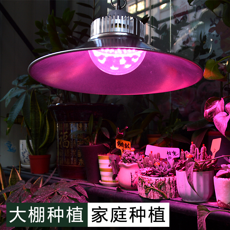 全光谱植物灯生长灯工矿灯室内花卉育苗大棚温室LED多肉补光灯|ruв категории награду материалов, огни освещения, функциональный светильник, вегетативная лампа - от Buy2taobao.com для оказания профессиональной услуги покупки агента Taobao