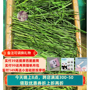 白菜麻麻  新草5A级精品烘干头茬提摩西草段龙猫兔子豚鼠 毛重2斤