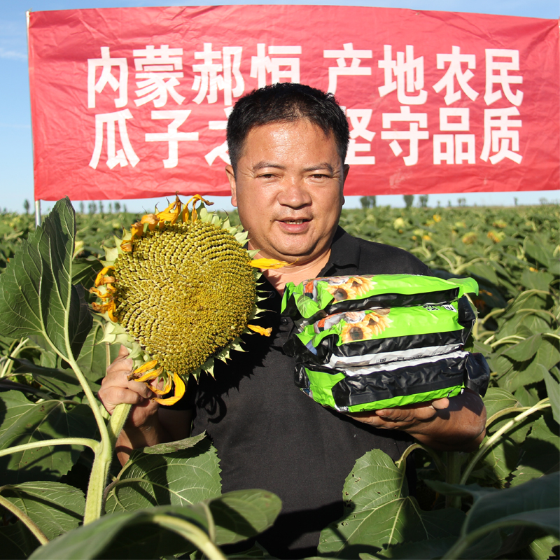 内蒙美人心葵花籽 现炒原味薄皮精品特大油葵子毛磕小花葵 生瓜子